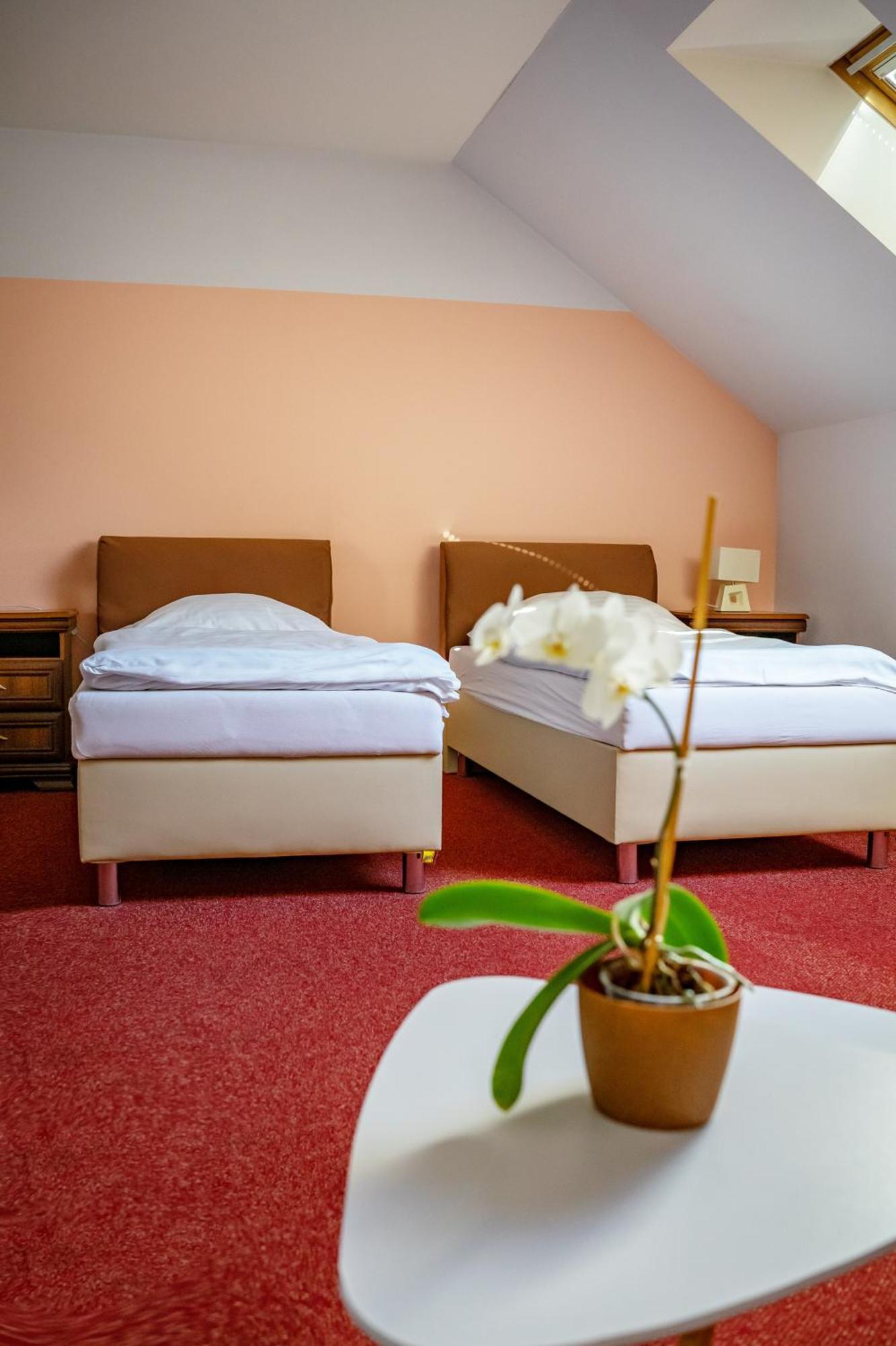 Hotel Ruzek Граніце Екстер'єр фото